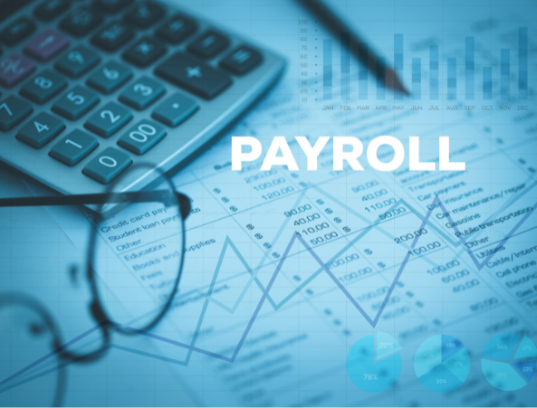 Experience The Best HRMS And Payroll Software