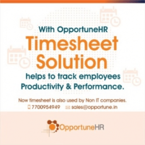 Timesheet Solutions
