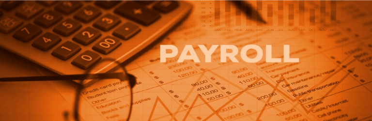 What is an Online Payroll Management System?