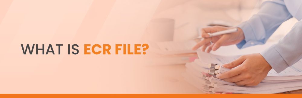 2400 X 781 1 1000x325 1